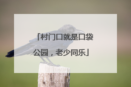 村门口就是口袋公园，老少同乐